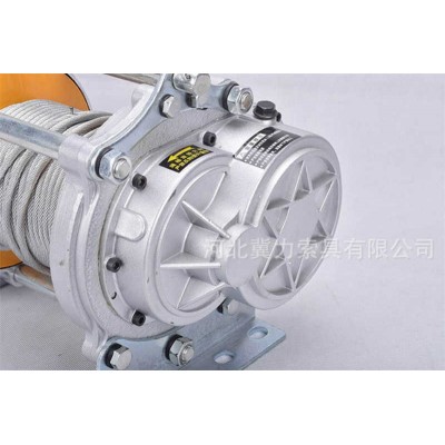 110V Compact Electric Hoist 250kg for US Garage & Workshop