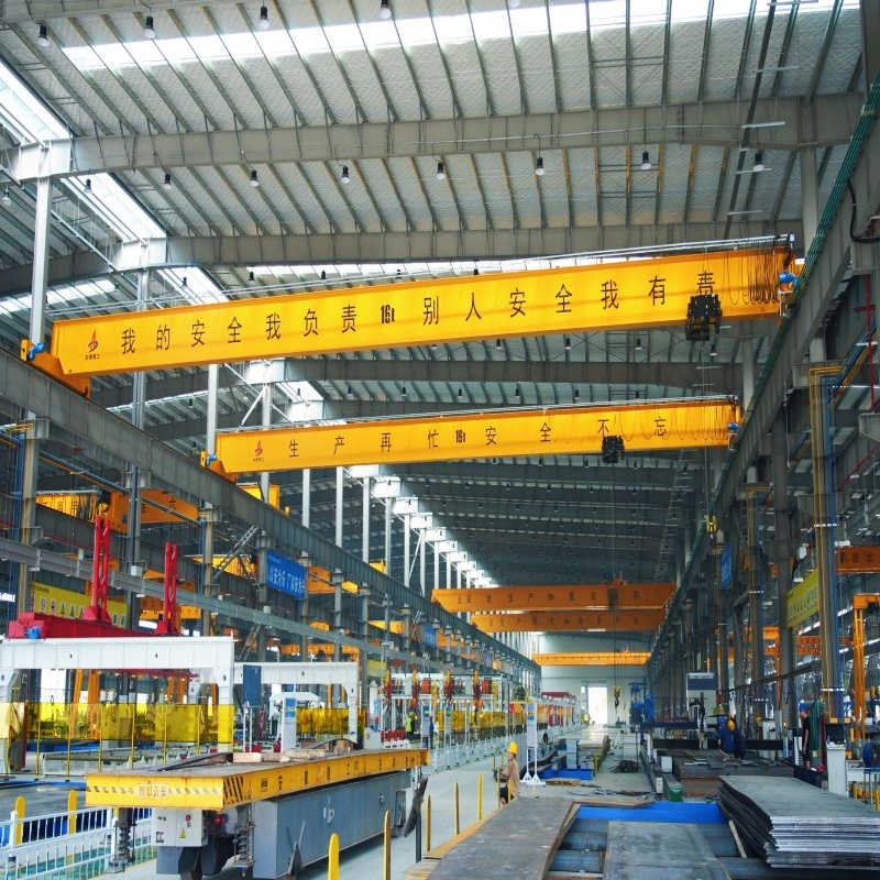 Ldc 1-3 Ton Single Girder Crane 460V 60Hz for American Warehouses