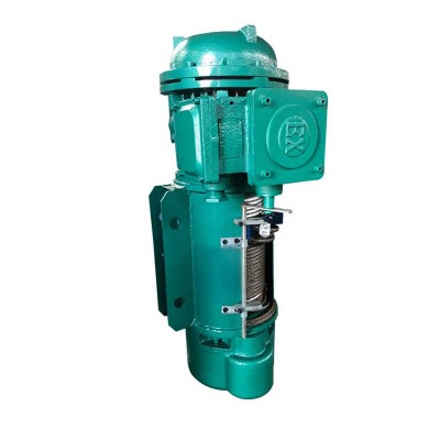 BCD Explosion-Proof Hoist - Level Four Protection for Petrochemical Plants