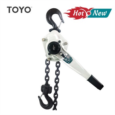 Heavy-Duty Ratchet Lever Hoist | 0.8 to 9 Ton Capacity with G80 Load Chain