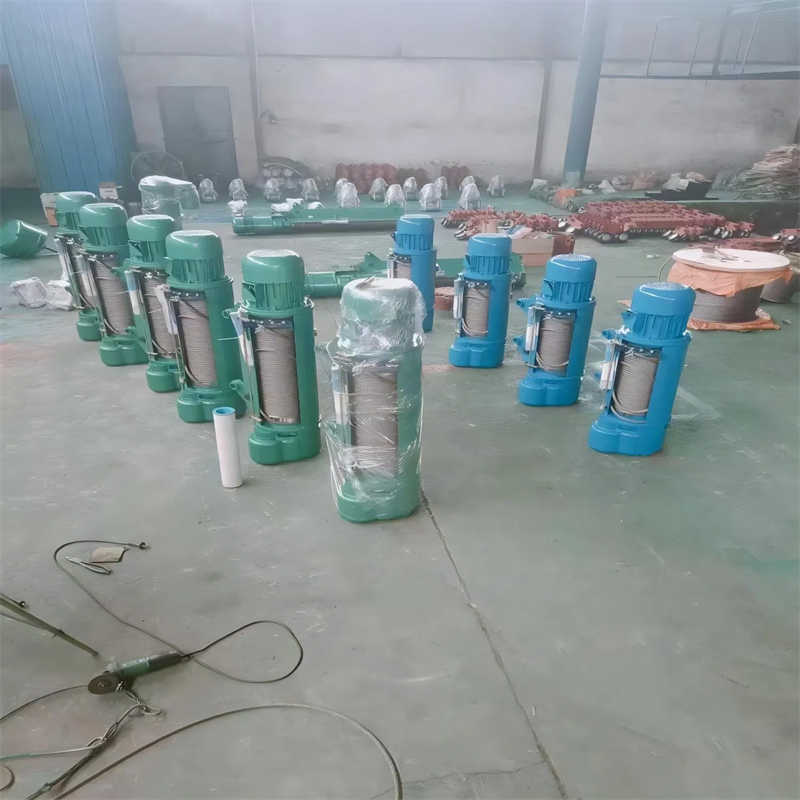 8 Ton Electric Wire Rope Hoist for Brazilian Port