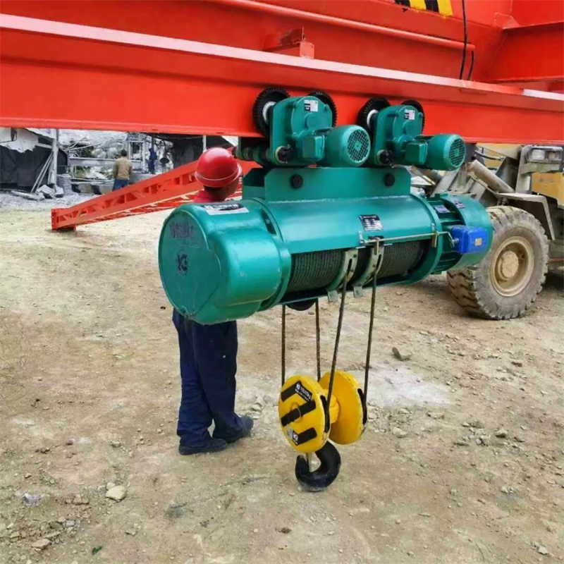 50 Ton Electric Wire Rope Hoist for South Africa