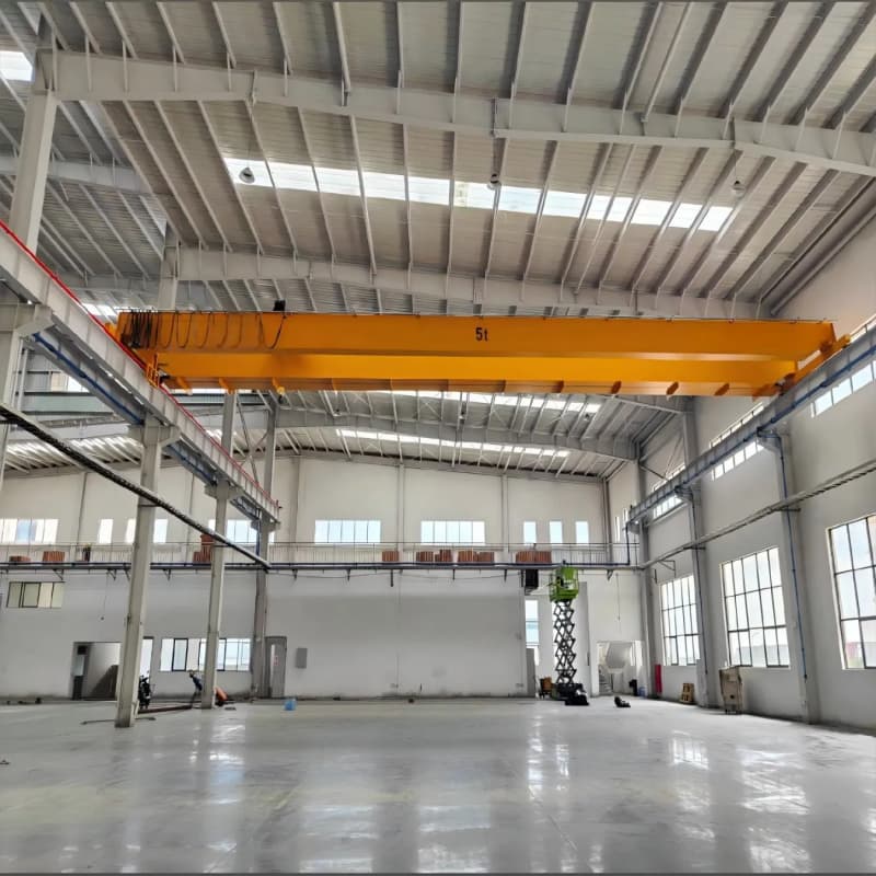 5T Double Girder Crane Chile Food Processing 14m Span 6m Height