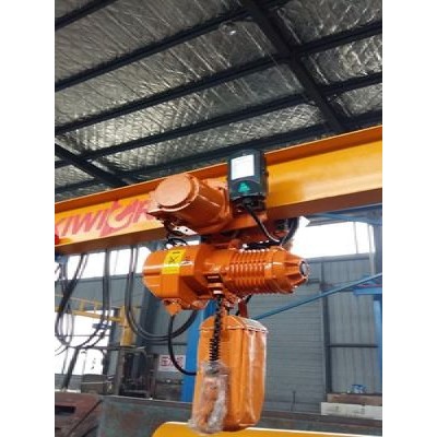 500kg to 5 Ton Range Electric Chain Hoist for Indonesia General Industry