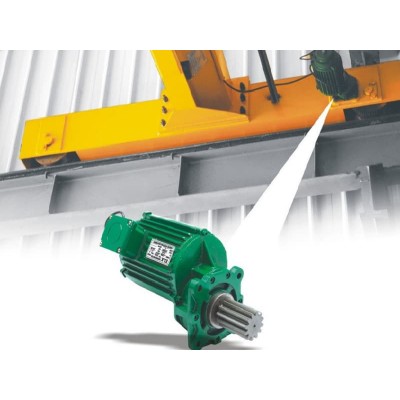 3.75Kw High Torque Crane Geared Motor for Heavy Lifting Applications