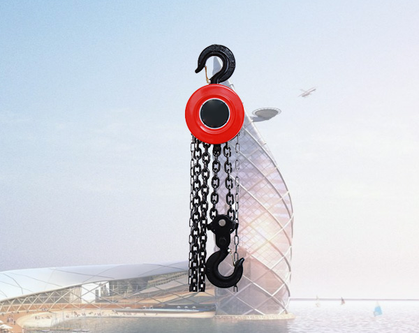 1 Ton Stainless Steel Manual Hoist for Chemical Laboratory Use