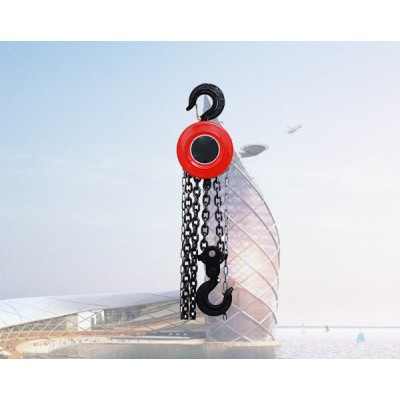 3 Ton Heavy Duty Stainless Steel Hand Hoist for Wastewater Plants