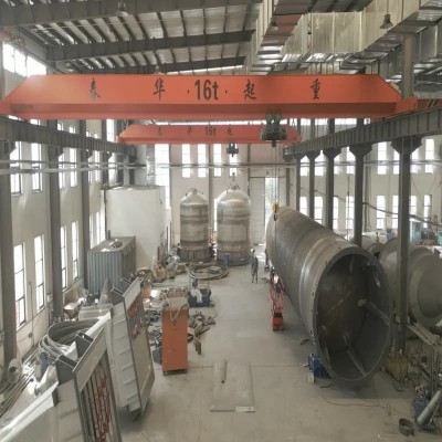 0.5 Ton Electric Single Girder Crane for Clean Room Use in Singapore