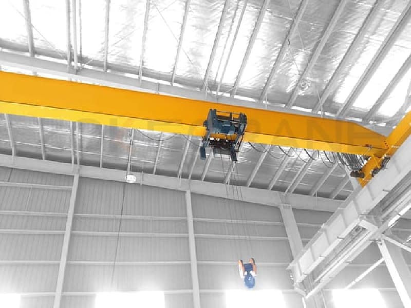 20T Max Capacity FEM Crane with Schneider PLC Malaysia