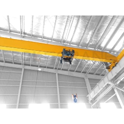 20T Max Capacity FEM Crane with Schneider PLC Malaysia