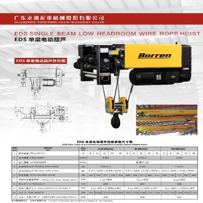 2 Ton Single Girder Electric Hoist-European Design, 9m Lifting Height