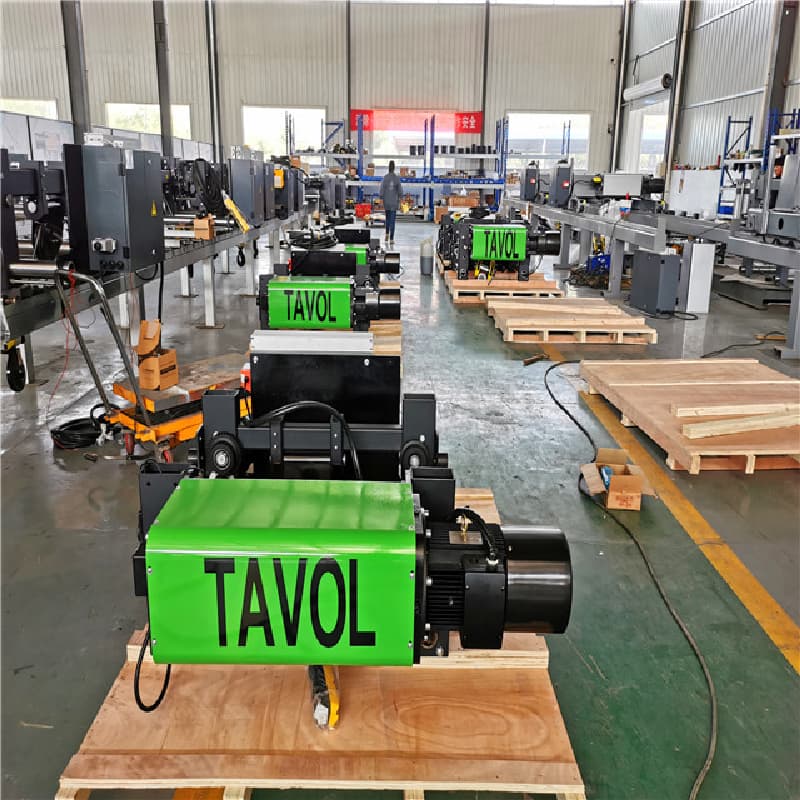 Euro Design Wire Rope Hoist 10t 6m Lift