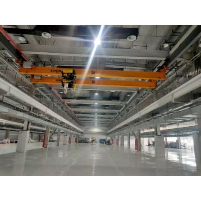 1t Suspension Bridge Crane Span 22m, Lift 8m for Food Processing by kiwicrane