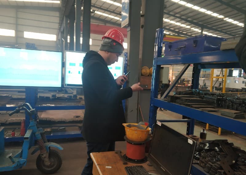 Uzbekistan Customer Come to Inpect Crane Quality &Container Loading Issues