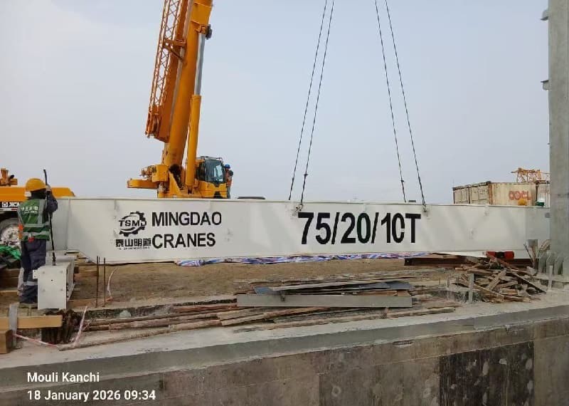 Mingdao cranes in Africa