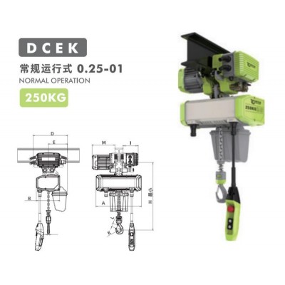 0.25T Traveling Electric Hoist VFD 2.5~18m/min South Africa Construction Site