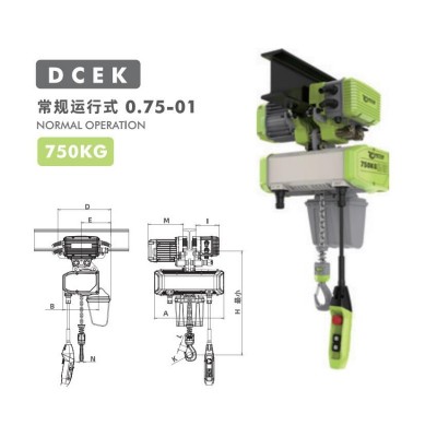 0.75T Traveling Euro Hoist VFD 0.8~7m/min Vietnam Maintenance Shop Crane