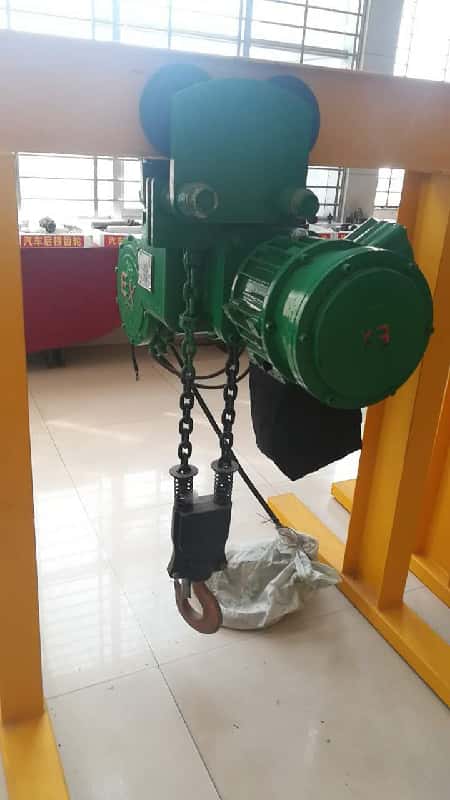 1T Explosion-proof Electric Chain Hoist ExdⅡBT4 for Chemical Plant Germany