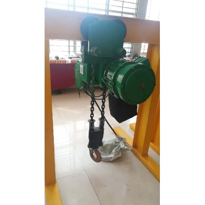 1T Explosion-proof Electric Chain Hoist ExdⅡBT4 for Chemical Plant Germany