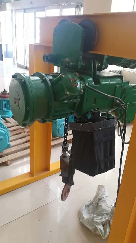 1T Explosion-proof Electric Chain Hoist ExdⅡBT4 for Chemical Plant Germany