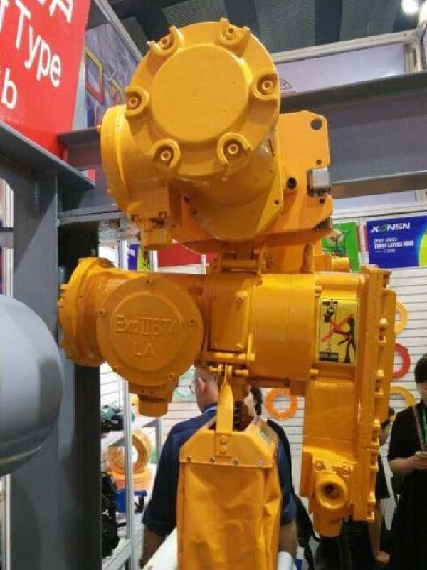 1T Explosion-proof Electric Chain Hoist ExdⅡBT4 for Chemical Plant Germany