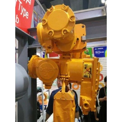 1000kg Explosion-proof Electric Hoist ExdⅡCT4 for Gas Station Australia