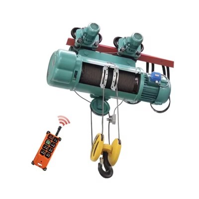 0.5T MD1 Electric Hoist Dual Speed 8/0.8m/min for Railway Workshops