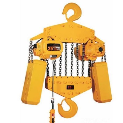 0.5T Fixed Electric Hoist 3-9m Lift for South Africa Plant