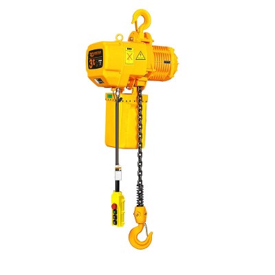0.5T Fixed Electric Hoist Low Voltage Control for Netherlands Port
