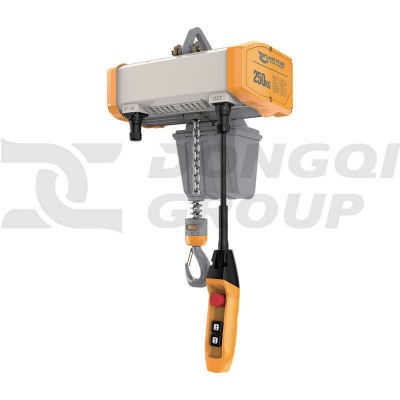 Dongqi 0.5t Fixed Electric Chain Hoist 3m Lift Light Duty Workshop USA
