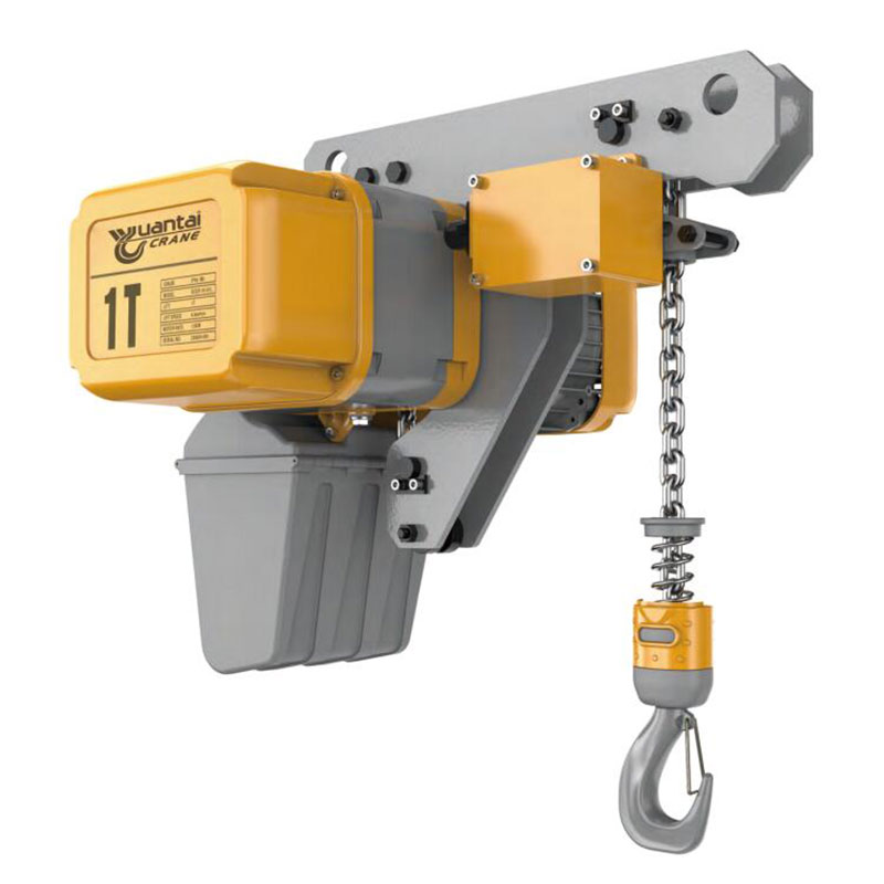 Dongqi 1t Low Headroom Electric Chain Hoist 12m Lift for Assembly Sweden