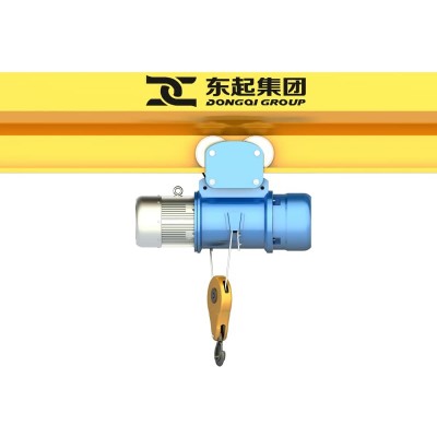Dongqi 0.5t CD1 Single Speed Electric Hoist 18m Lift for Jib Crane Cyprus