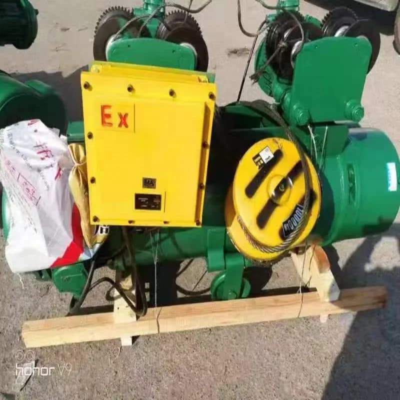 Dongqi 0.5t BMD Explosion-Proof Hoist 9m Lift Refinery Low Price Belgium