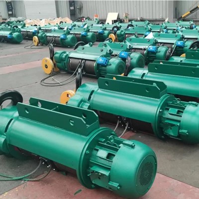 Dongqi 0.5t BMD Explosion-Proof Hoist 9m Lift Fertilizer Plant Low Price Hungary